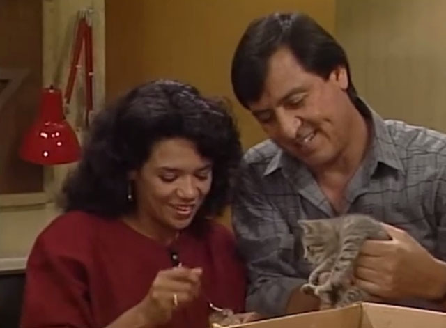 Sesame Street - Episode 2383 Stray Kitten - Maria Sonia Manzano and Luis Emilio Delgado about to feed gray tabby kitten