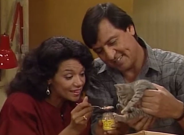 Sesame Street - Episode 2383 Stray Kitten - Maria Sonia Manzano and Luis Emilio Delgado feeding gray tabby kitten