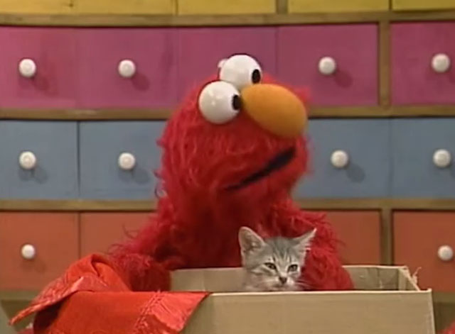 Sesame Street - Episode 2383 Stray Kitten - Elmo with gray tabby kitten