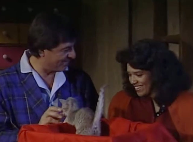 Sesame Street - Episode 2383 Stray Kitten - Maria Sonia Manzano and Luis Emilio Delgado looking at gray tabby kitten in box