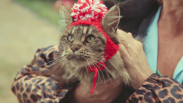 Sexual Education - Episode 1.8 - longhair tabby cat Jonathan in knitted cap
