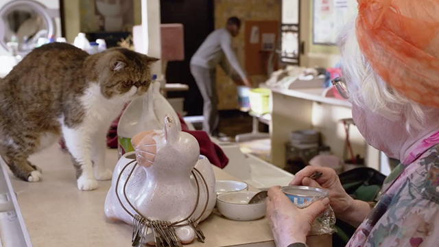 Shameless - Own Your Sh*t - Etta June Squibb with exotic shorthair cat McMahon and cat food can in laundromat