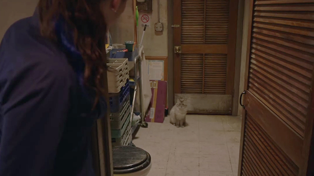Shameless - The Defenestration of Frank - Fiona looking at tabby Siamese mix cat Singletary in back of diner