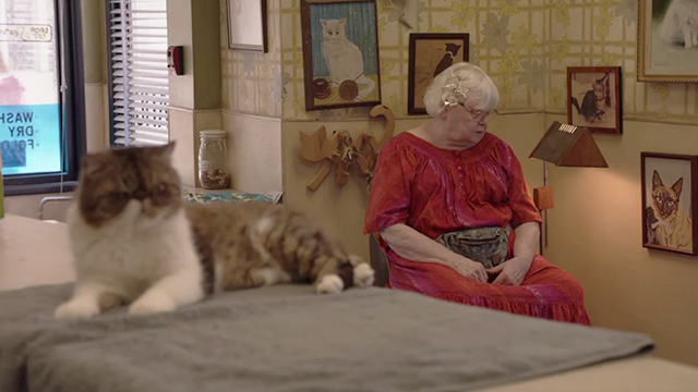 Shameless - Own Your Sh*t - Etta June Squibb in laundromat with exotic shorthair cat McMahon