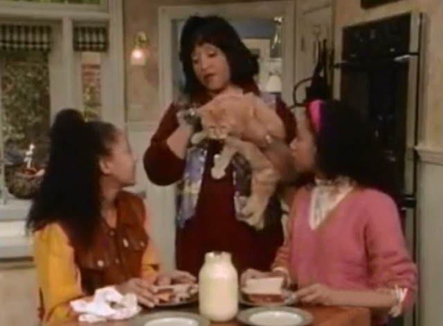 Sister, Sister - Cheater, Cheater - Lisa Jackée Harry and Tia and Tamera Mowry with orange tabby cat Little Ray