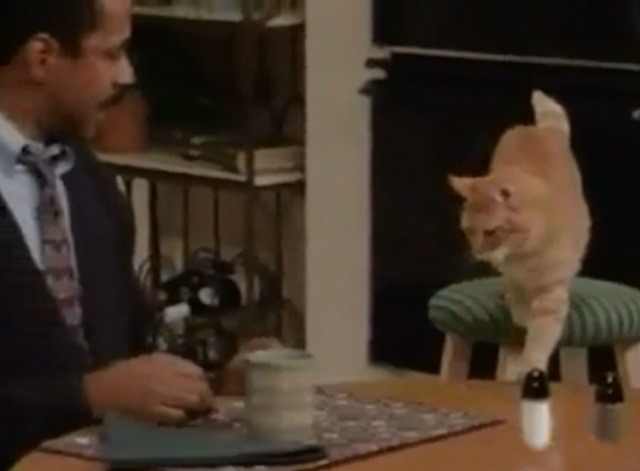 Sister, Sister - Cheater, Cheater - Ray Tim Reid scolds orange tabby cat Little Ray