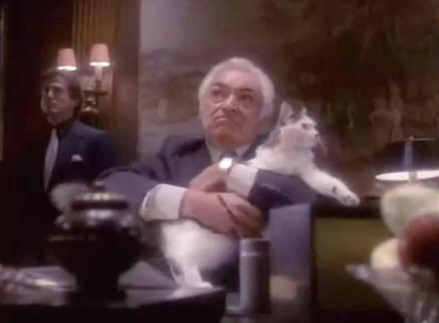 Sledge Hammer - Witless - Don Phillip Souza Al Ruscio at desk with gray and white tuxedo cat