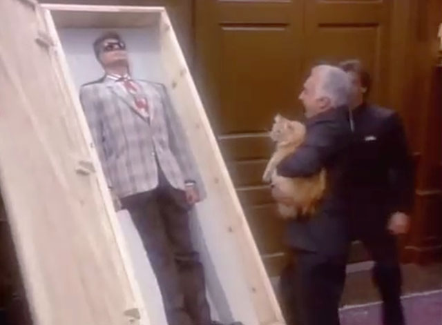 Sledge Hammer - Witless - Don Phillip Souza Al Ruscio holding long hair ginger tabby cat looking at David Rasche in box