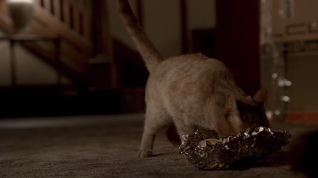 The Sopranos - Made in America - orange tabby cat eating from foil wrap