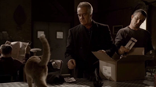 The Sopranos - Made in America - Paulie Tony Sirico looking angrily at orange tabby cat