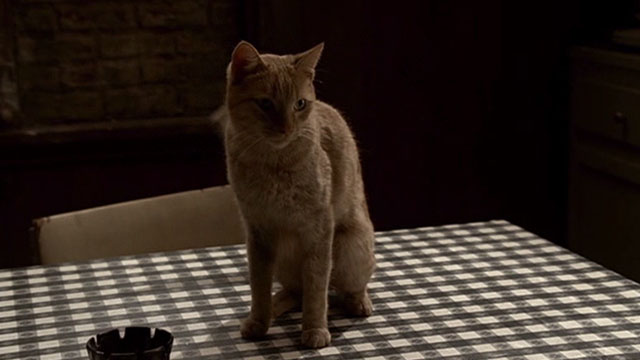 The Sopranos - Made in America - orange tabby cat on table