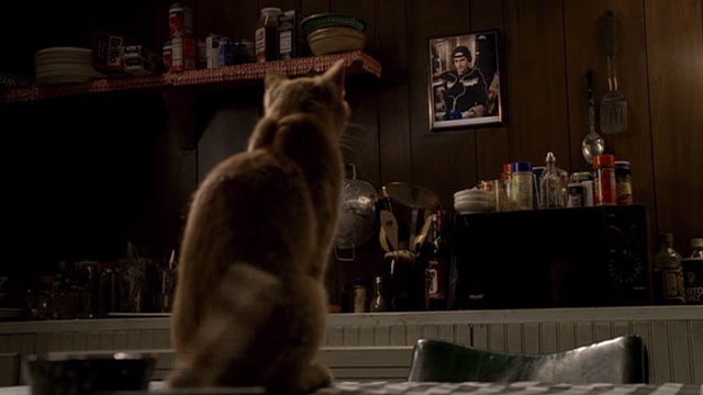 The Sopranos - Made in America - orange tabby cat staring at picture of Christopher