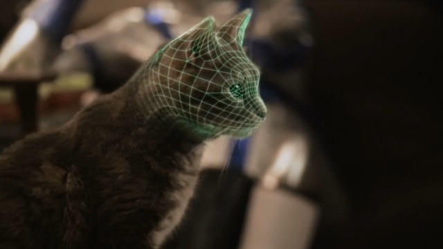 Space Riders: Division Earth - Philip scanning tabby Portal Cat