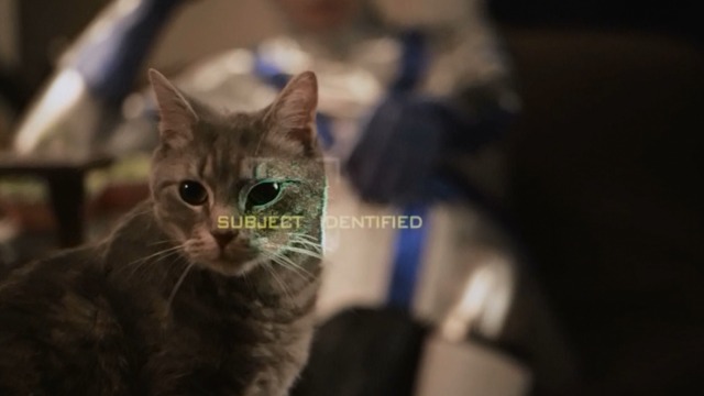 Space Riders: Division Earth - Philip scanning tabby Portal Cat close