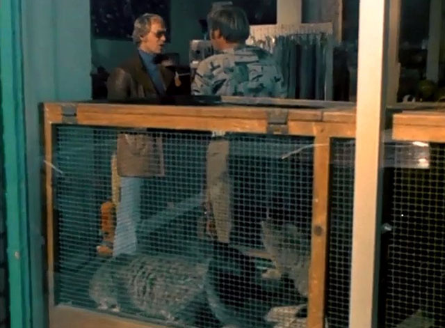 Starsky & Hutch - Silence - David Soul inside pet shop with gray cats in window cage