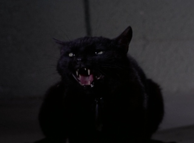 Star Trek - Catspaw black cat screeching
