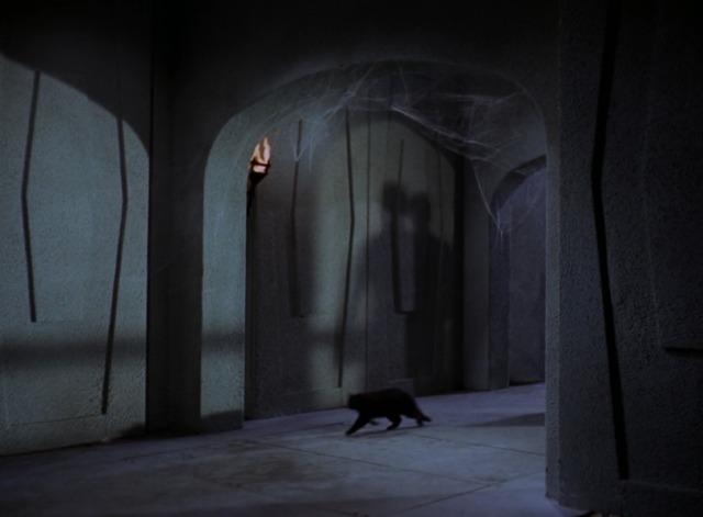 Star Trek - Catspaw black cat running through castle