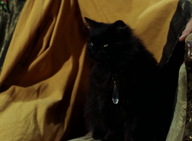 Star Trek - Catspaw black cat sitting on throne next to Korob