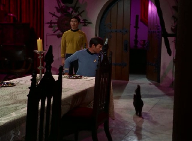Star Trek - Catspaw black cat leaving room