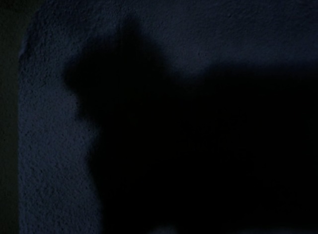 Star Trek - Catspaw black cat shadow on wall