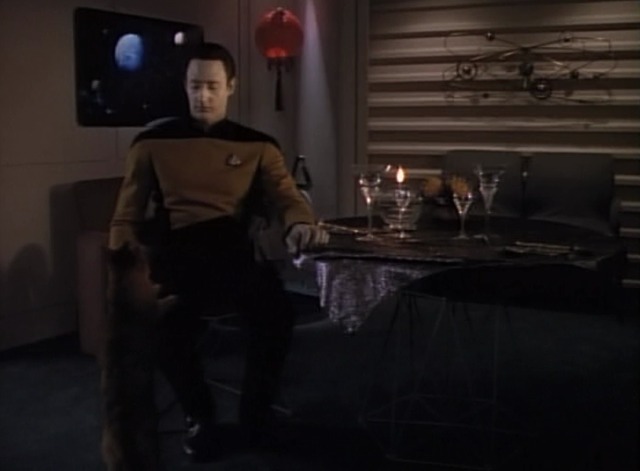 Star Trek: The Next Generation - In Theory - cat Spot stands by Data's knee