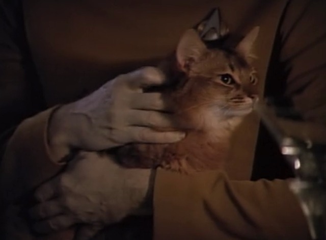 Star Trek: The Next Generation - In Theory - cat Spot on Data's lap