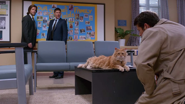 Supernatural - Hunteri Heroici - Sam Jared Padalecki and Dean Jensen Ackles looking at Castiel Misha Collins interrogating long-haired ginger tabby cat Bob