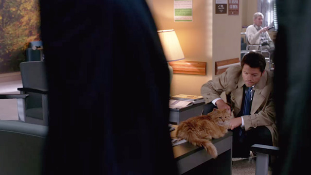 Supernatural - Hunteri Heroici - Castiel Misha Collins interrogating long-haired ginger tabby cat Bob