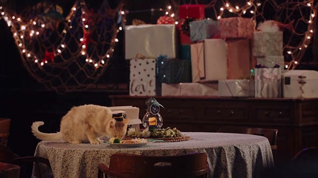 Superstore - Sandra's Wedding - white cat Biscuit wearing captain's hat and eating from plate of food