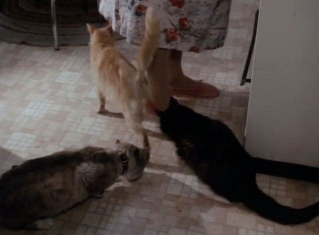 Tales From the Crypt - Collection Completed - three cats at Anita's feet