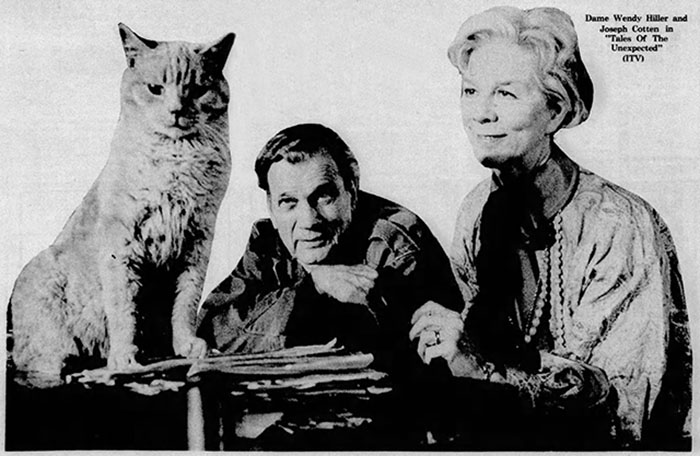 Tales of the Unexpected - Edward the Conqueror - ginger tabby cat with Dame Wendy Hiller and Joseph Cotten newspaper clipping