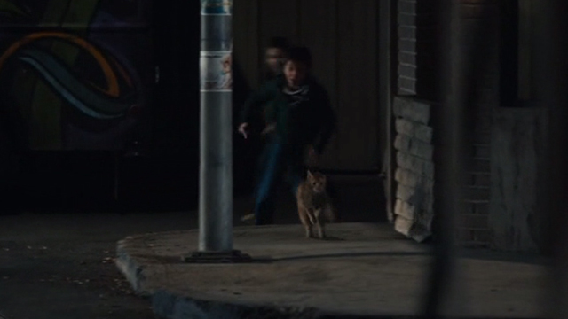 This is Us - Clooney - orange tabby cat Clooney with bent ear running away from kids