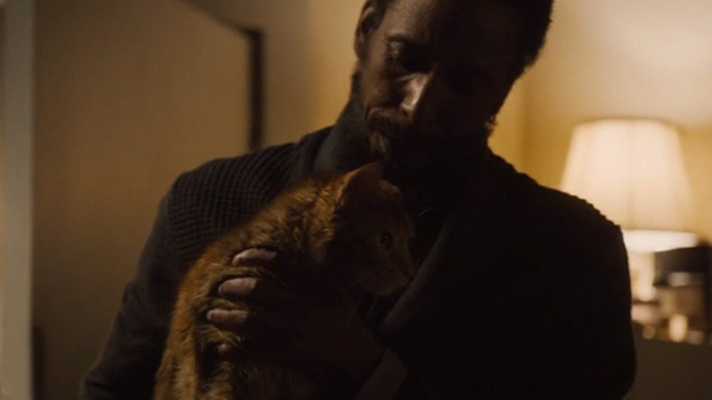 This is Us - Clooney - orange tabby cat Clooney with bent ear held by William Ron Cephas Jones