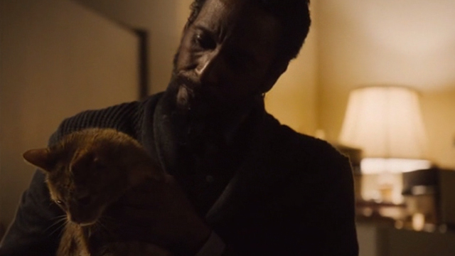 This is Us - Clooney - orange tabby cat Clooney with bent ear held by William Ron Cephas Jones