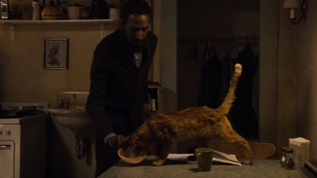 This is Us - Clooney - orange tabby cat Clooney with bent ear being fed by William Ron Cephas Jones