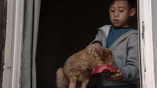 This is Us - Clooney - orange tabby cat Clooney with bent ear eating from bowl held by boy Eden Gamiz