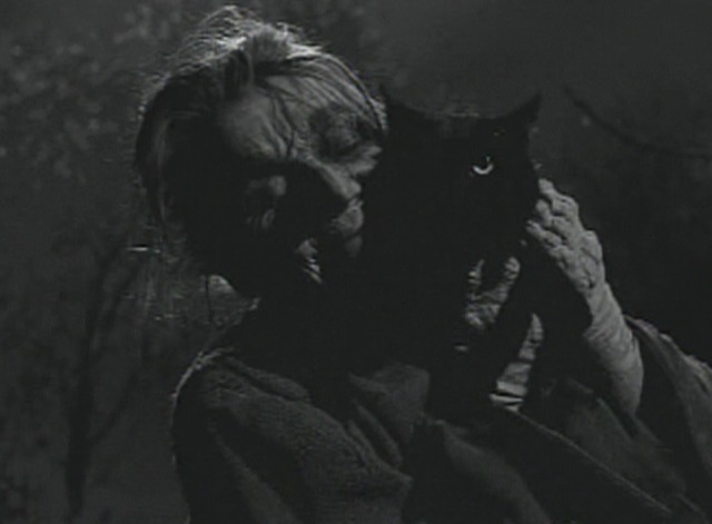 Thriller - La Strega black cat at witches ritual