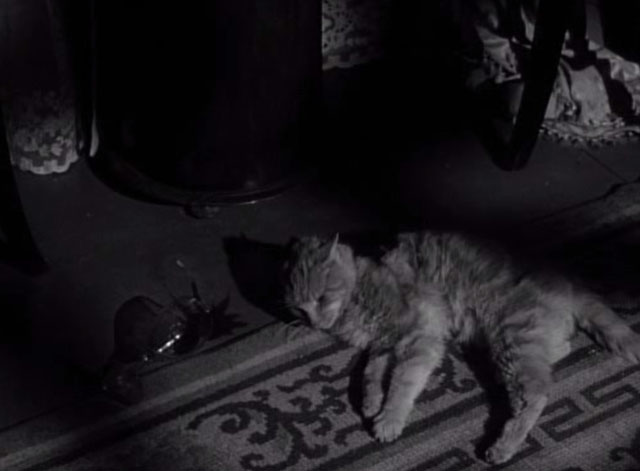 Thriller - The Poisoner - orange tabby cat Hermione laying on ground next to spilled brandy