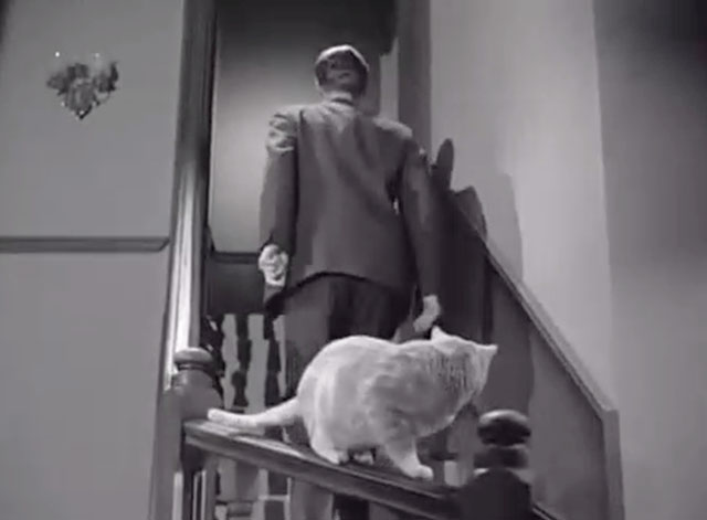 Thriller - The Specialists - Gresham Ronald Howard passing ginger tabby cat on stair railing