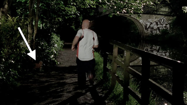 A Touch of Frost - If Dogs Run Free, Part One - man jogging past ginger and white tabby cat tied to post in park