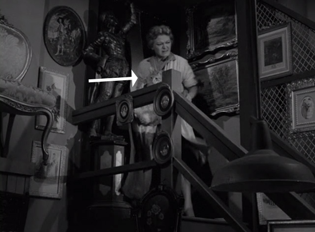 The Twilight Zone - Man in the Bottle - Edna Vivi Janiss carrying ginger tabby cat on top of staircase
