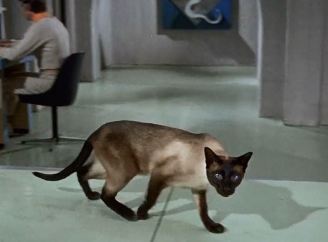 U.F.O. - The Cat with Ten Lives Siamese cat Jonah sneaking through S.H.A.D.O. headquarters