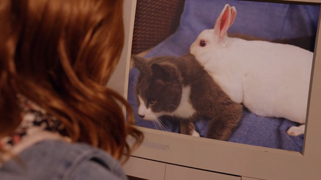 Unbreakable Kimmy Schmidt - Kimmy Kidnaps Gretchen! - Kimmy watching bunny and kitty on computer screen