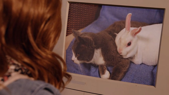 Unbreakable Kimmy Schmidt - Kimmy Kidnaps Gretchen! - Kimmy watching bunny and kitty on computer screen
