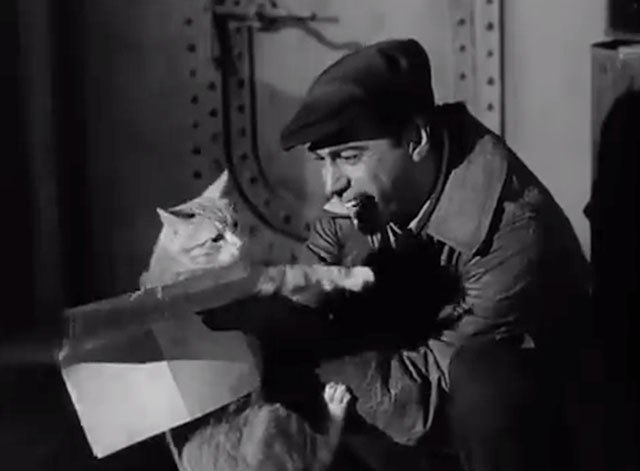 The Untouchables - Jack 'Legs' Diamond - Dimitrios Antony Carbone holding ginger tabby cat in ship's hold