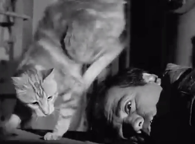 The Untouchables - Jack 'Legs' Diamond - Dimitrios Antony Carbone lying dead next to frightened ginger tabby cat