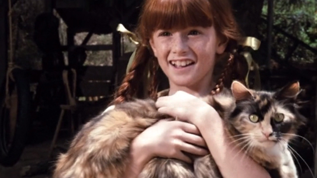 The Waltons - The Loss - Elizabeth Kami Cotler holding large Calico cat