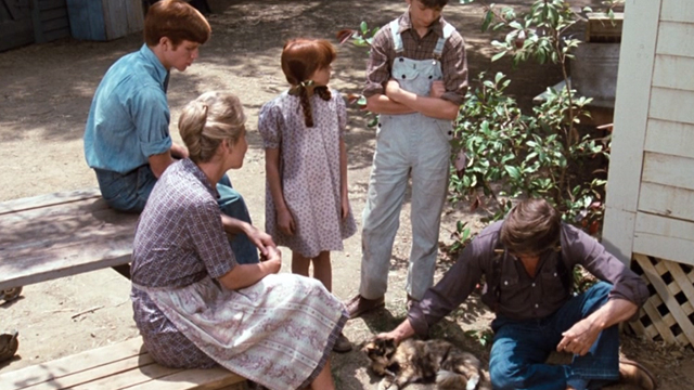The Waltons - The Loss - Walton family gathered around large Calico cat lying on ground