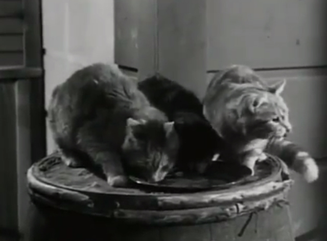 The Westerner - The Courting of Libby - cats still eating on barrel