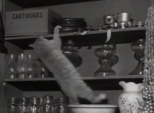 The Westerner - The Courting of Libby - orange tabby hanging onto shelf